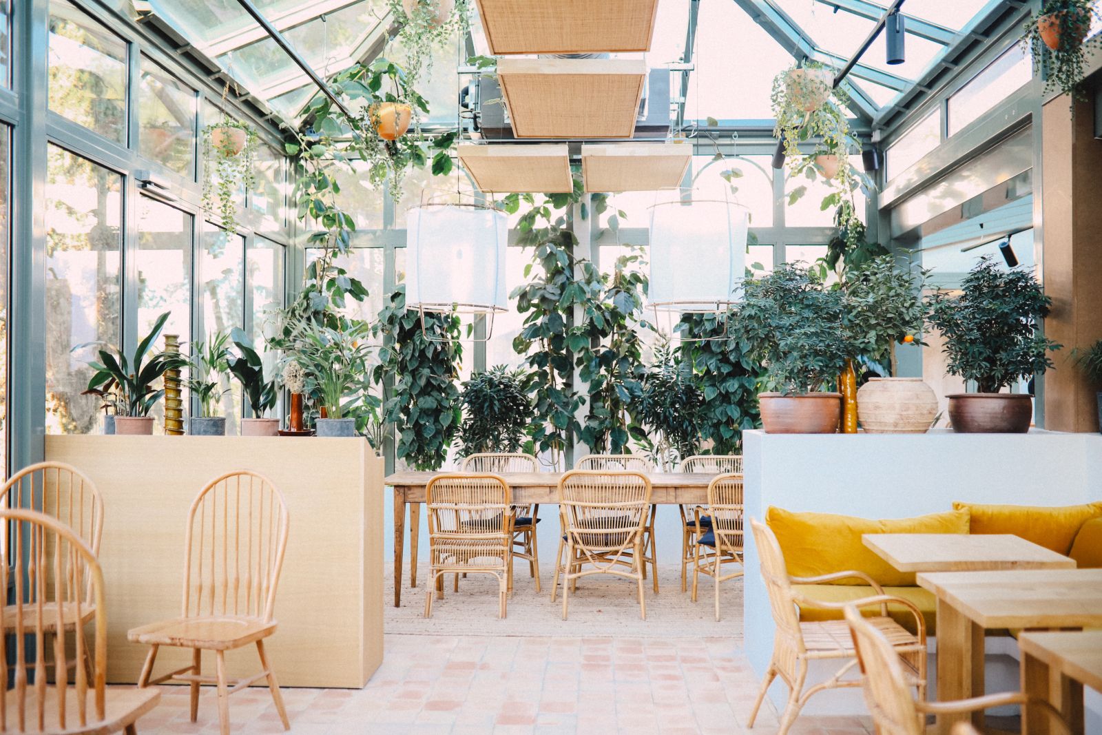 27447238_2025-01-08T14484762000028231244