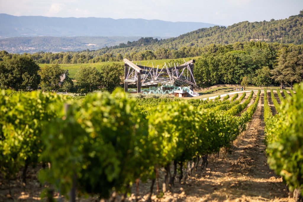 suivi_des_vignes_juillet_2021_-_vincentagnes-18